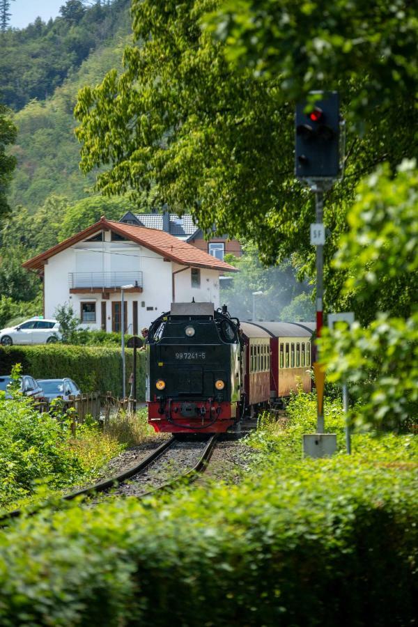 Villa Parkhaus Wernigerode Εξωτερικό φωτογραφία
